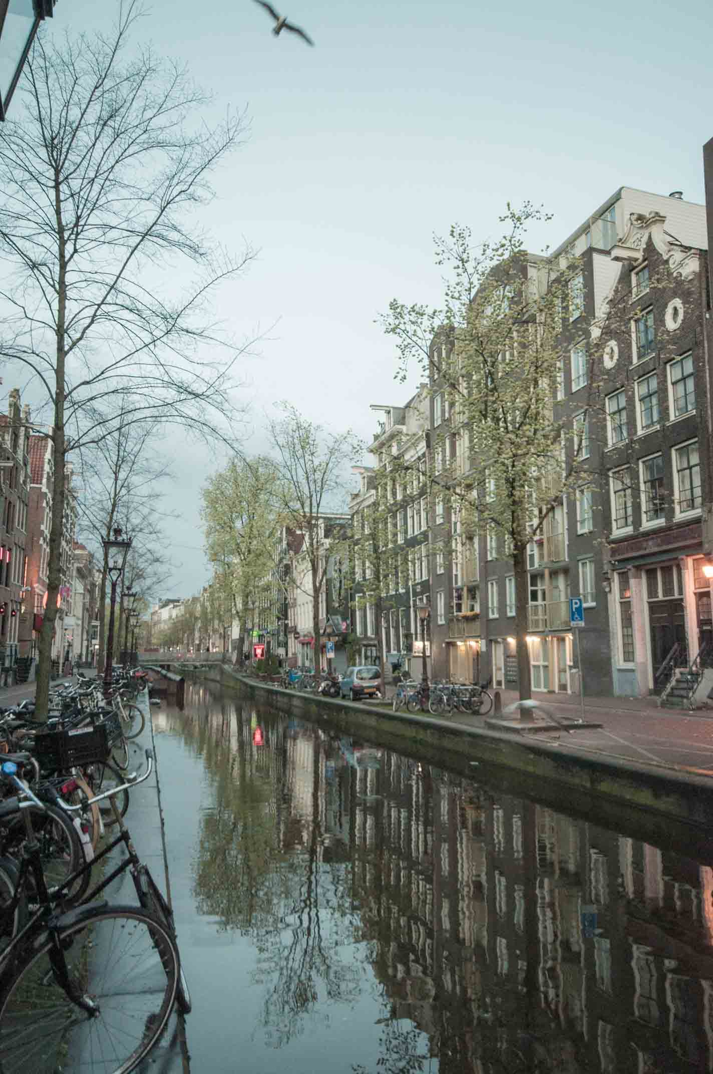 Redlight district at dusk