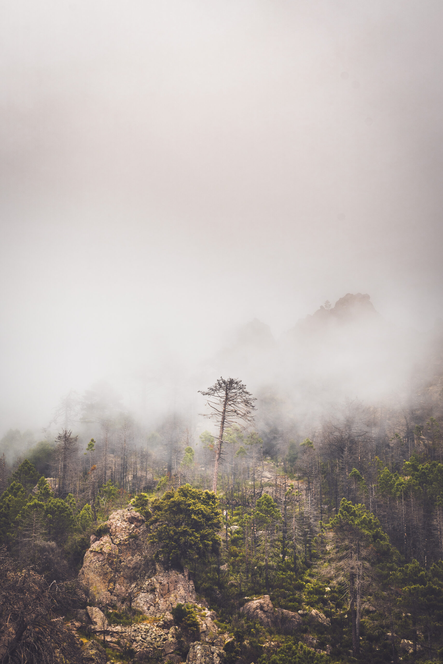 Protected by he misty mountains