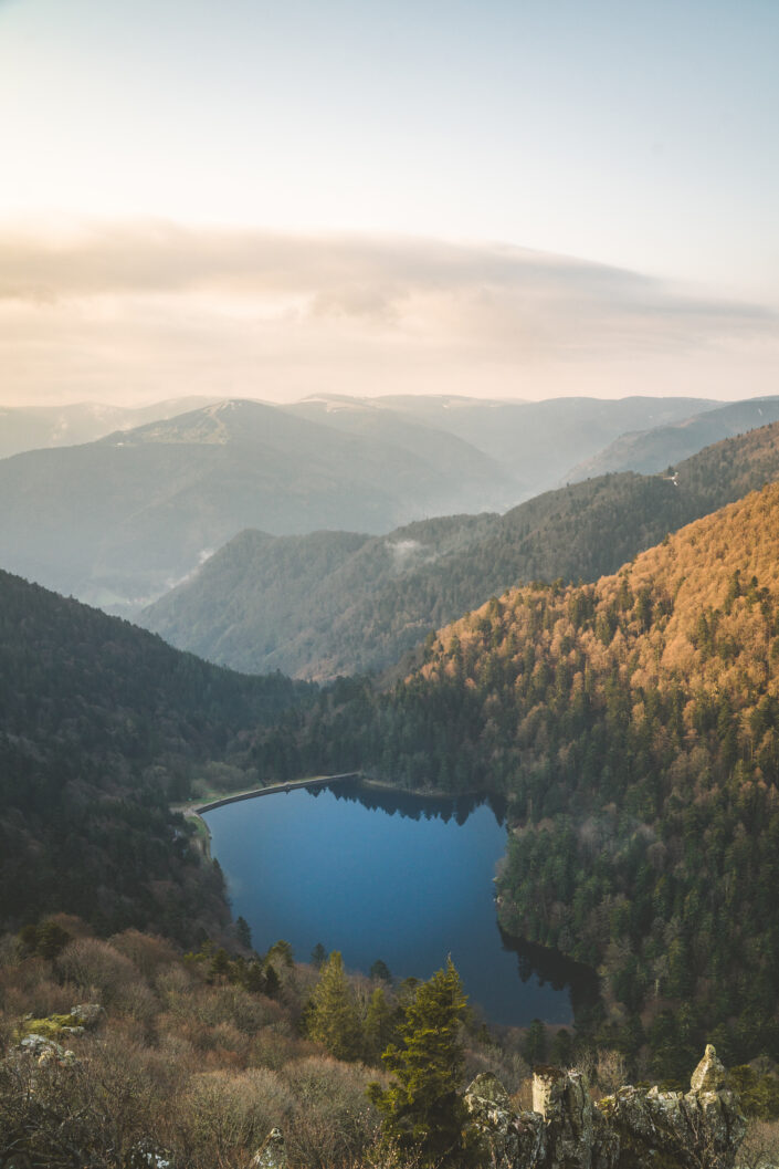 A lake in the middle of the forest