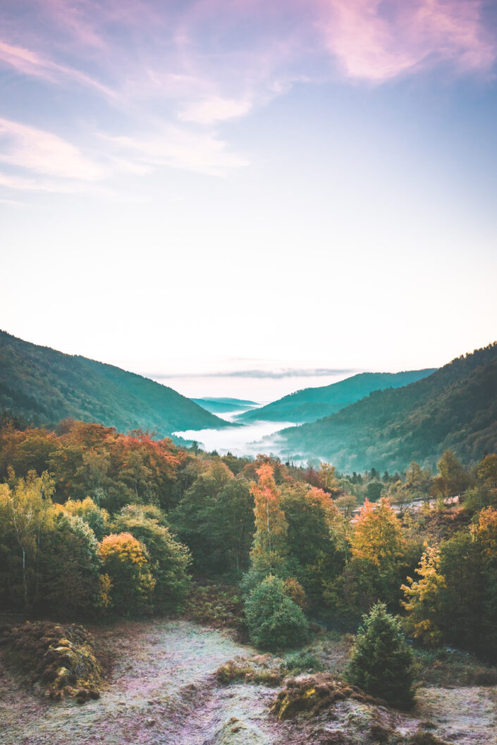 Morning mist in a valley