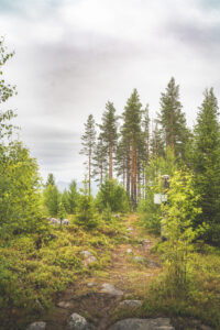 Hiking trail to the Bergaliv’s cabin