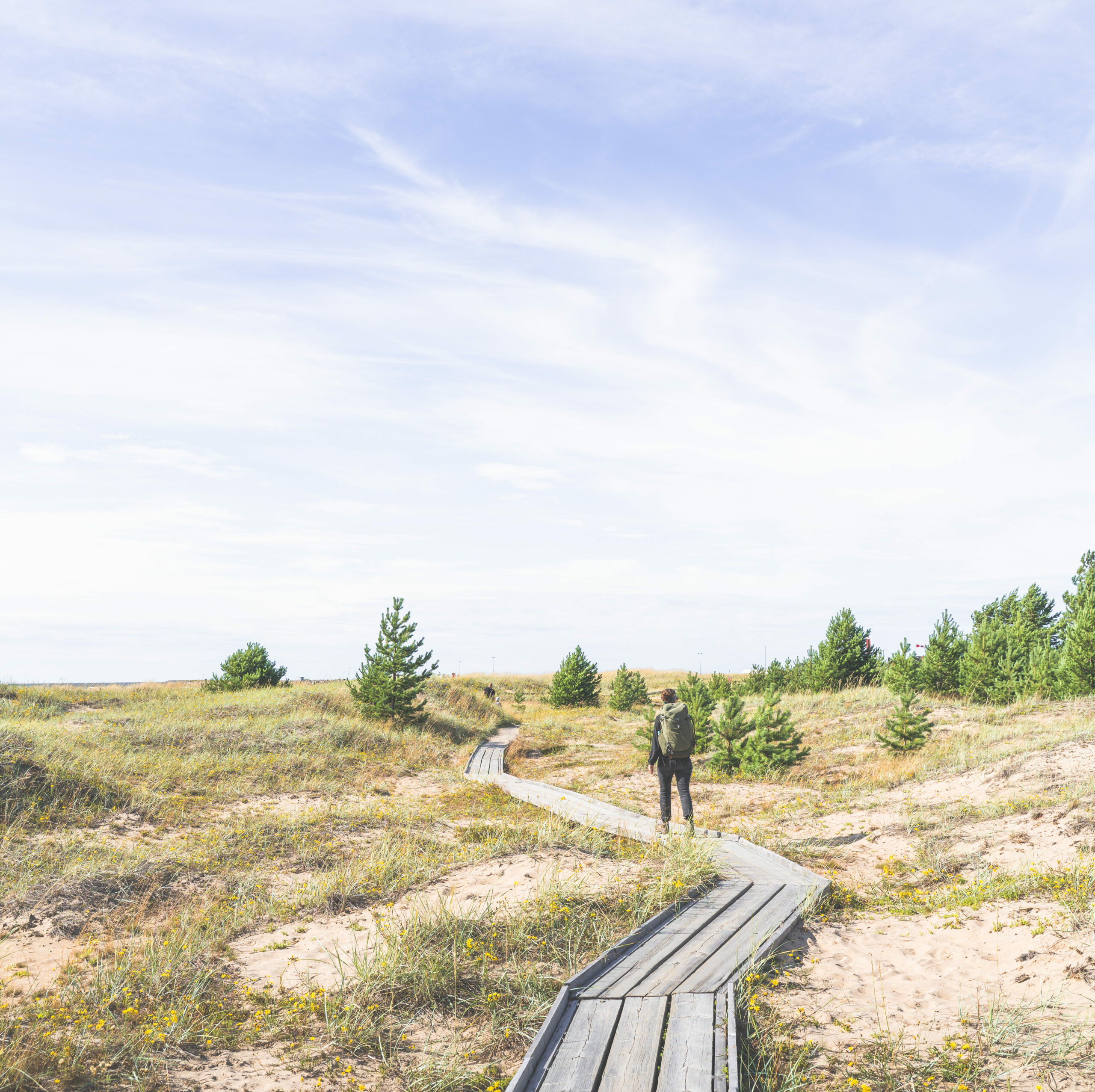 Path on Hailuoto’s seashores