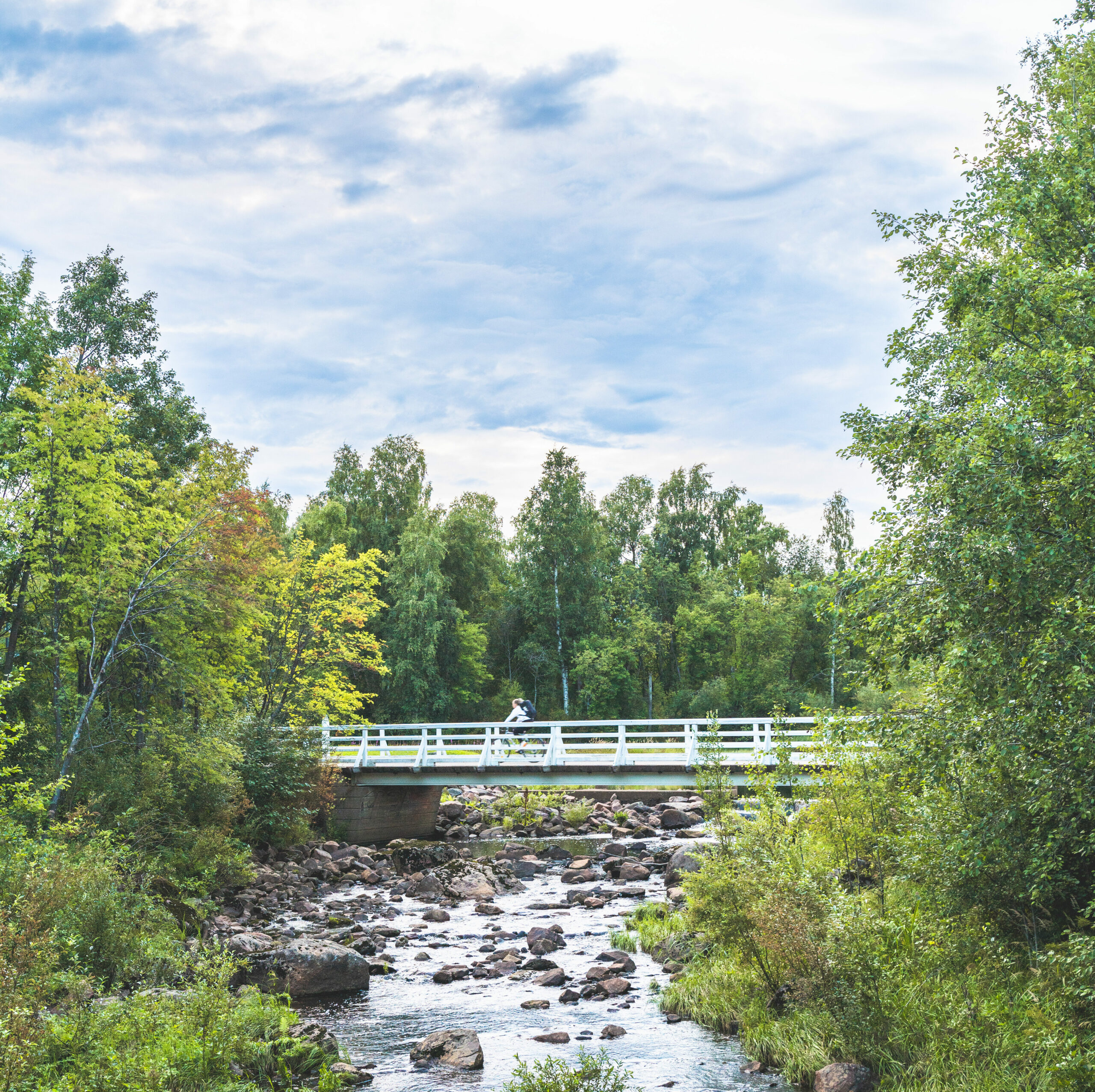 Bridge in Ainolan puisto