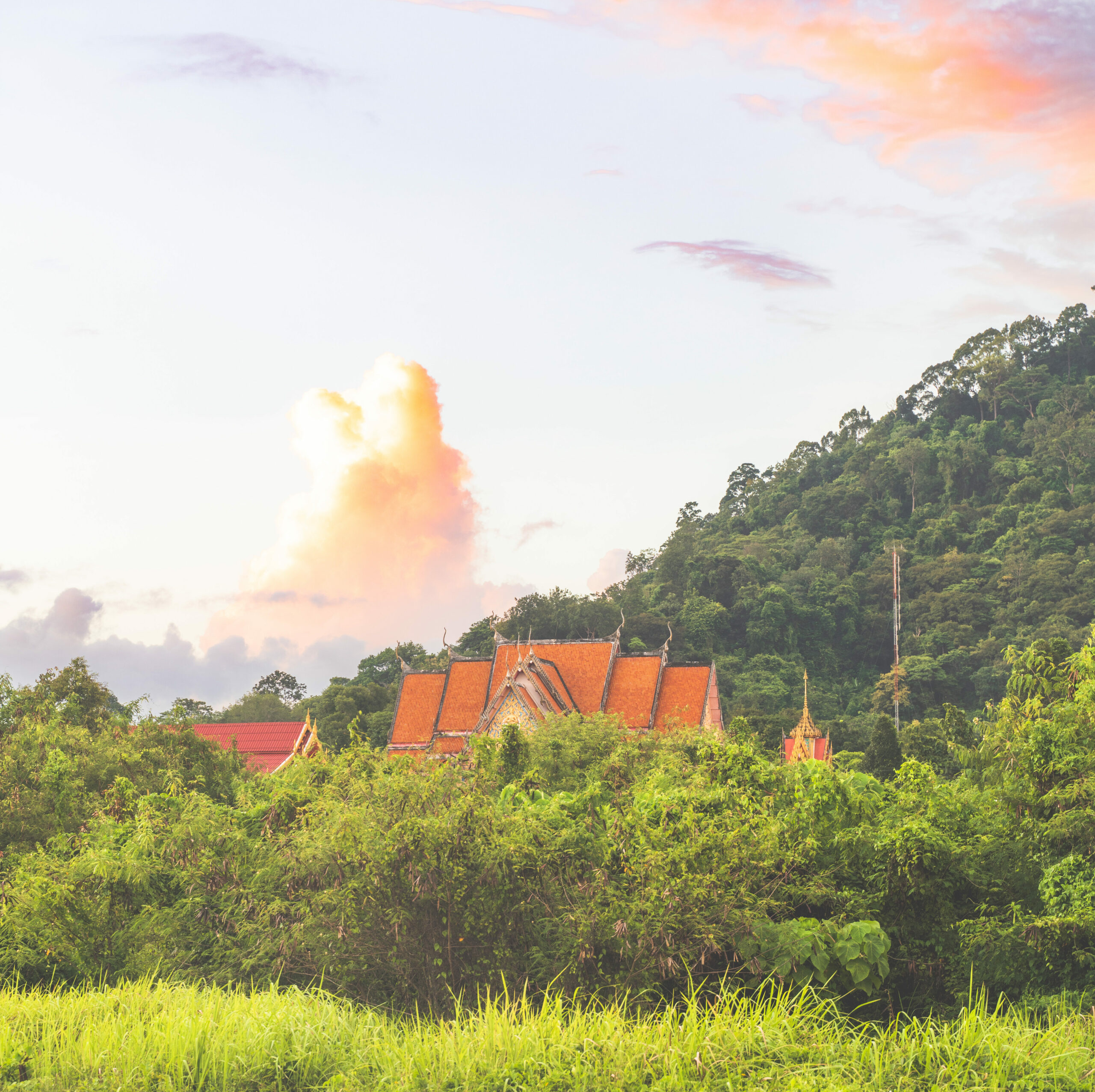 Wat Wichit Sangkaram From the city