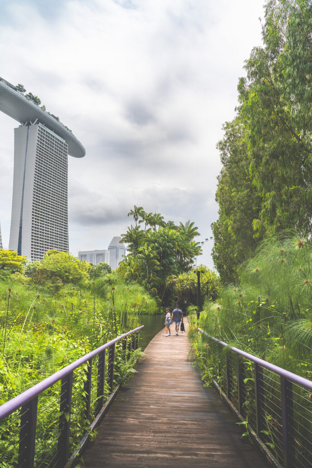 Wooden path in the gardens by the bay