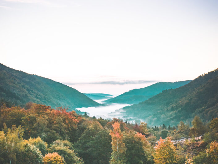 Morning mist in a valley